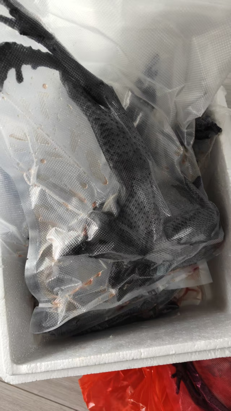 纯散养泰和乌鸡