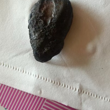 帮我看看是不是鹅宝
