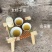 正宗农家土蜂蜜