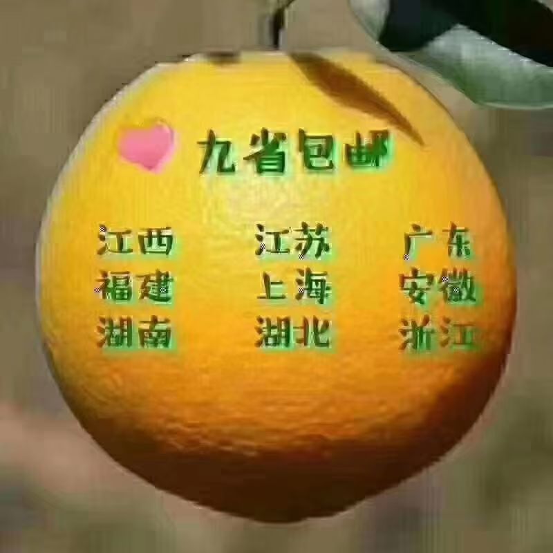 赣南脐橙