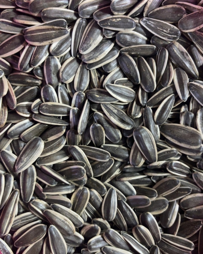 精品361葵花籽，价格实惠