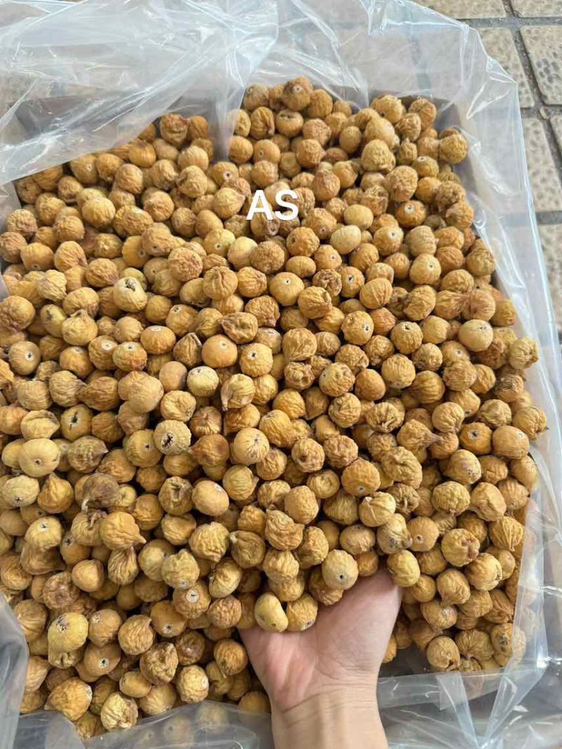 新货AS