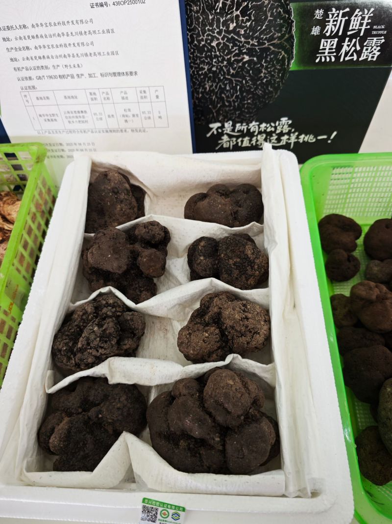 云南精品黑松露