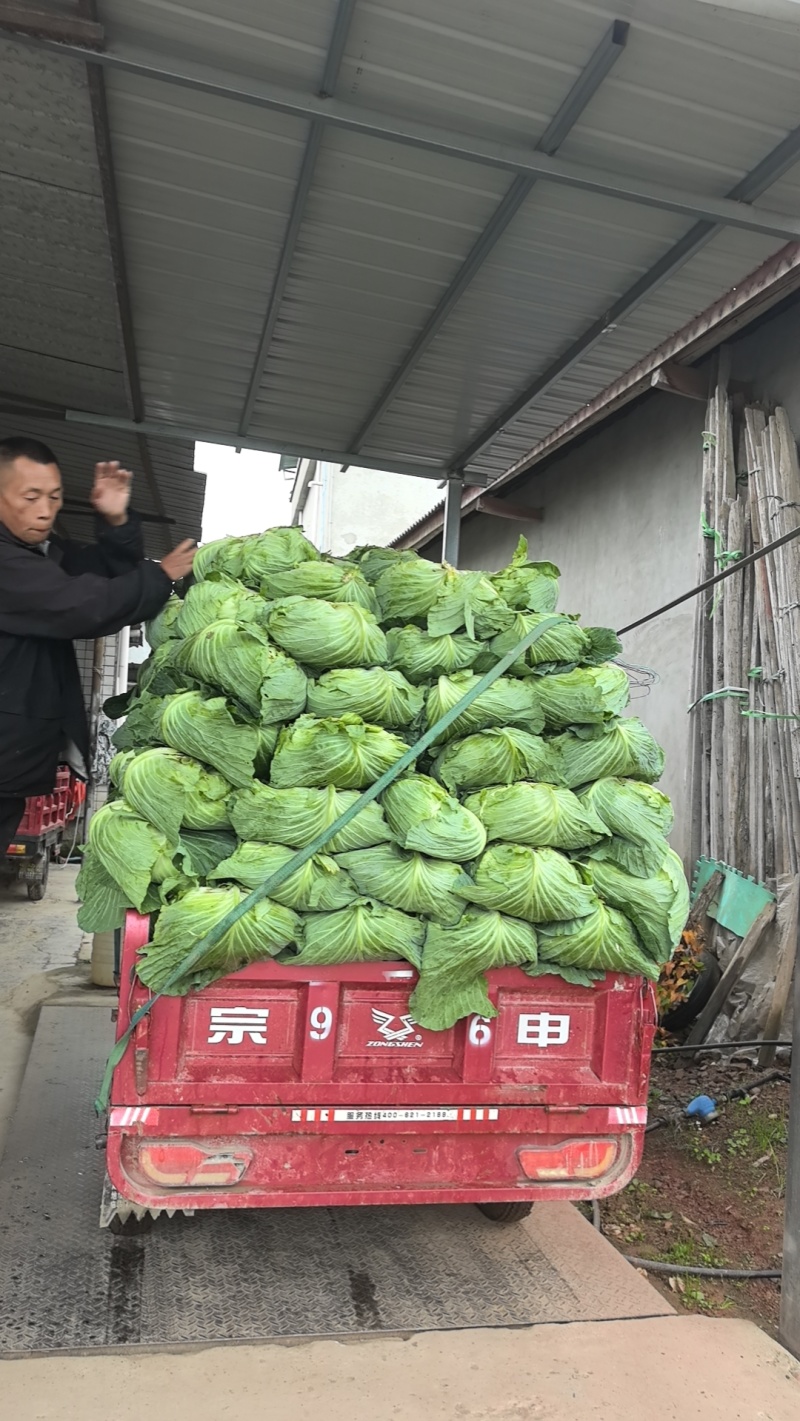 明天有货