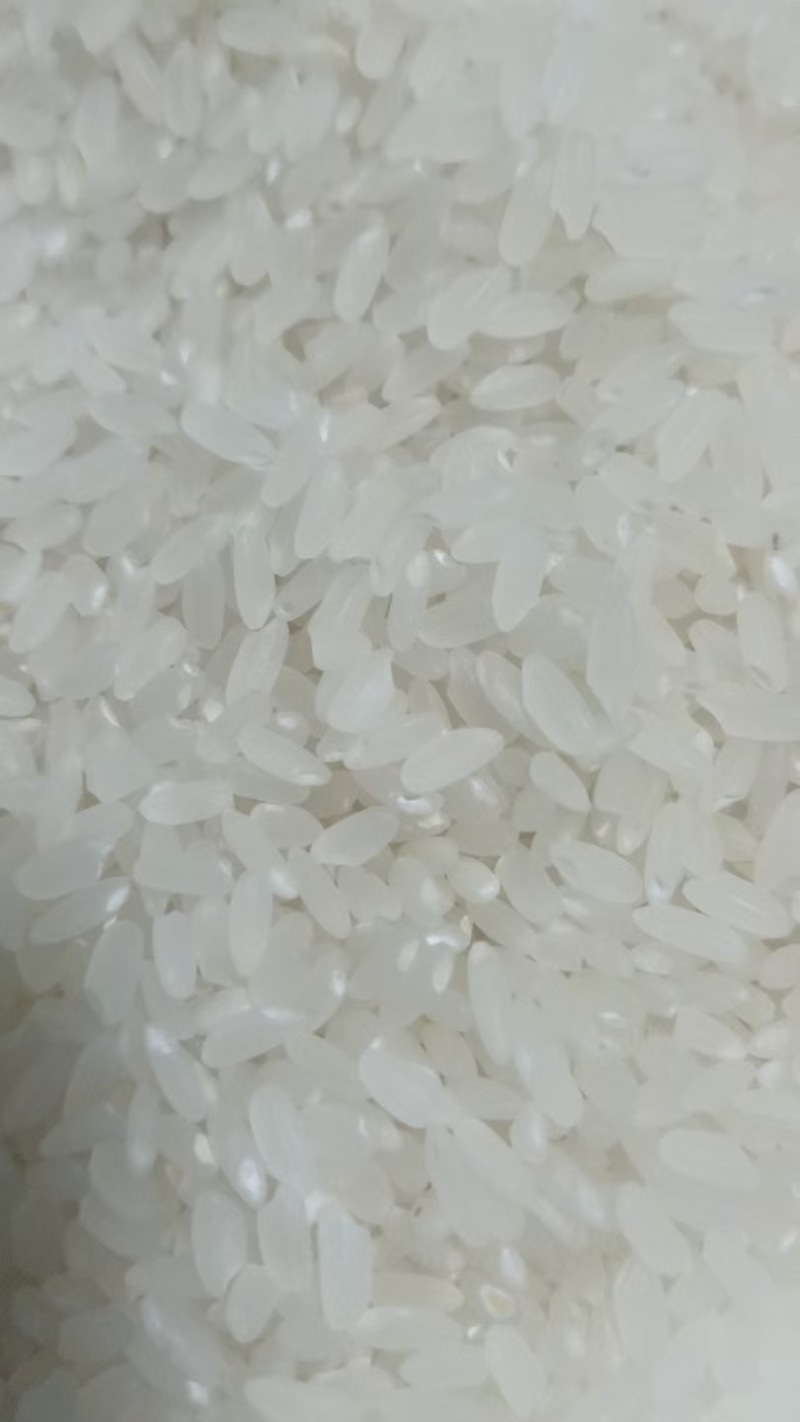 东北长粒香稻花香大米