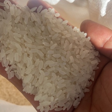 东北长粒香稻花香大米