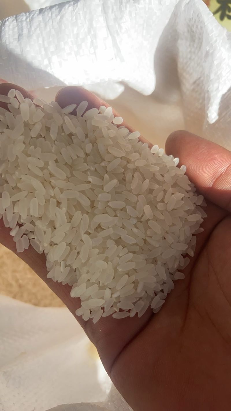 东北长粒香稻花香大米