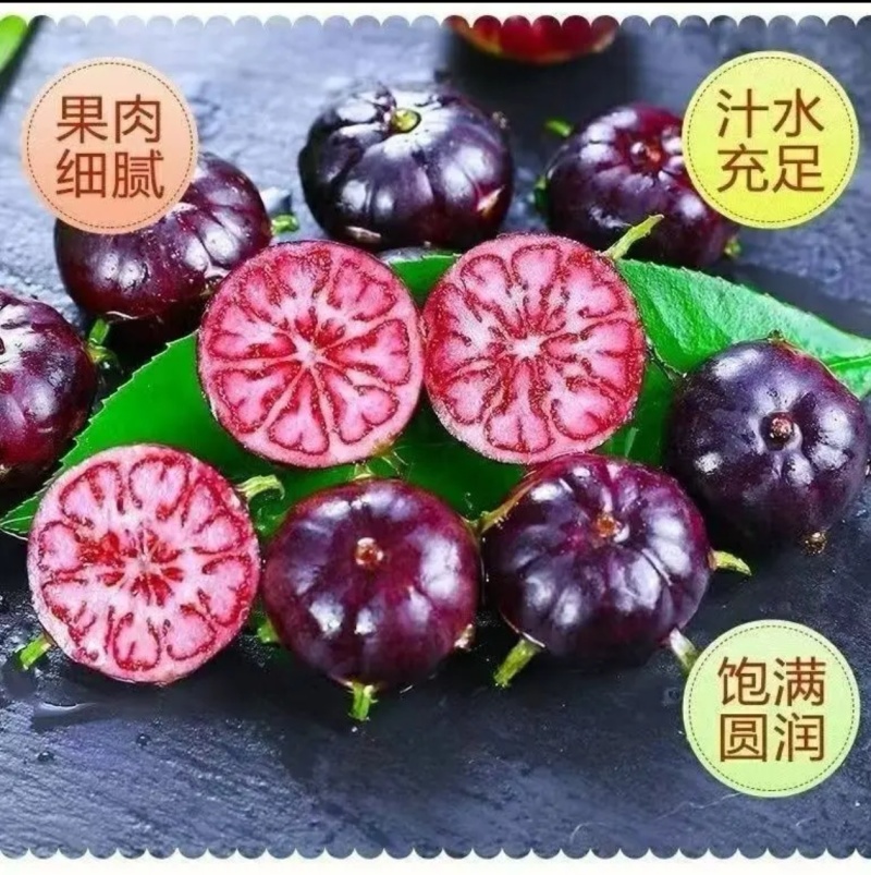 云南红果参，中大果，2克起