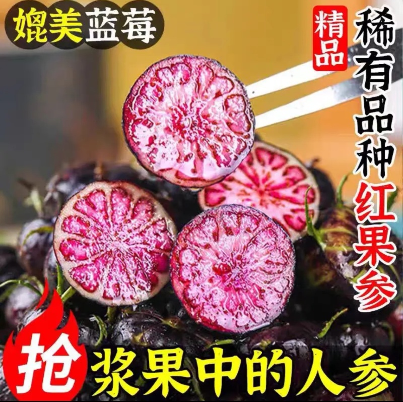云南红果参，中大果，2克起