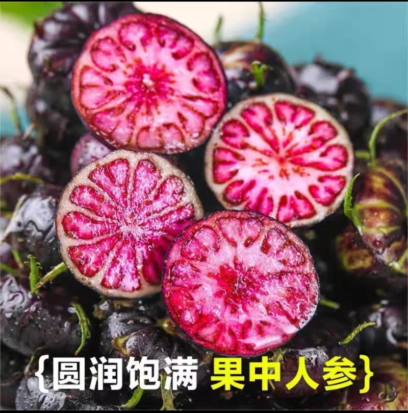 云南红果参，中大果，2克起