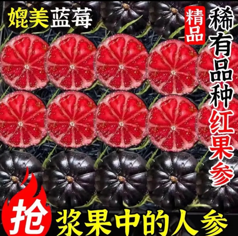云南红果参，中大果，2克起