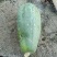 木瓜