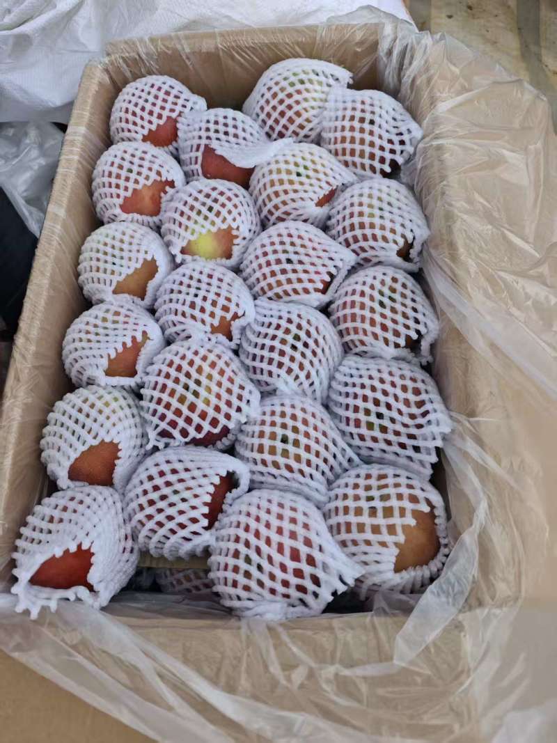 盐源丑苹果10000斤起售