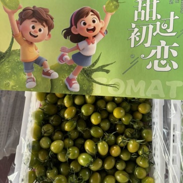 山东圣女果系列