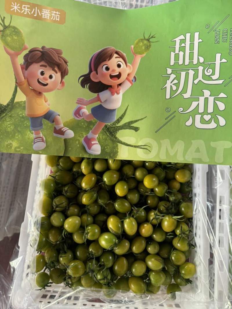 山东圣女果系列
