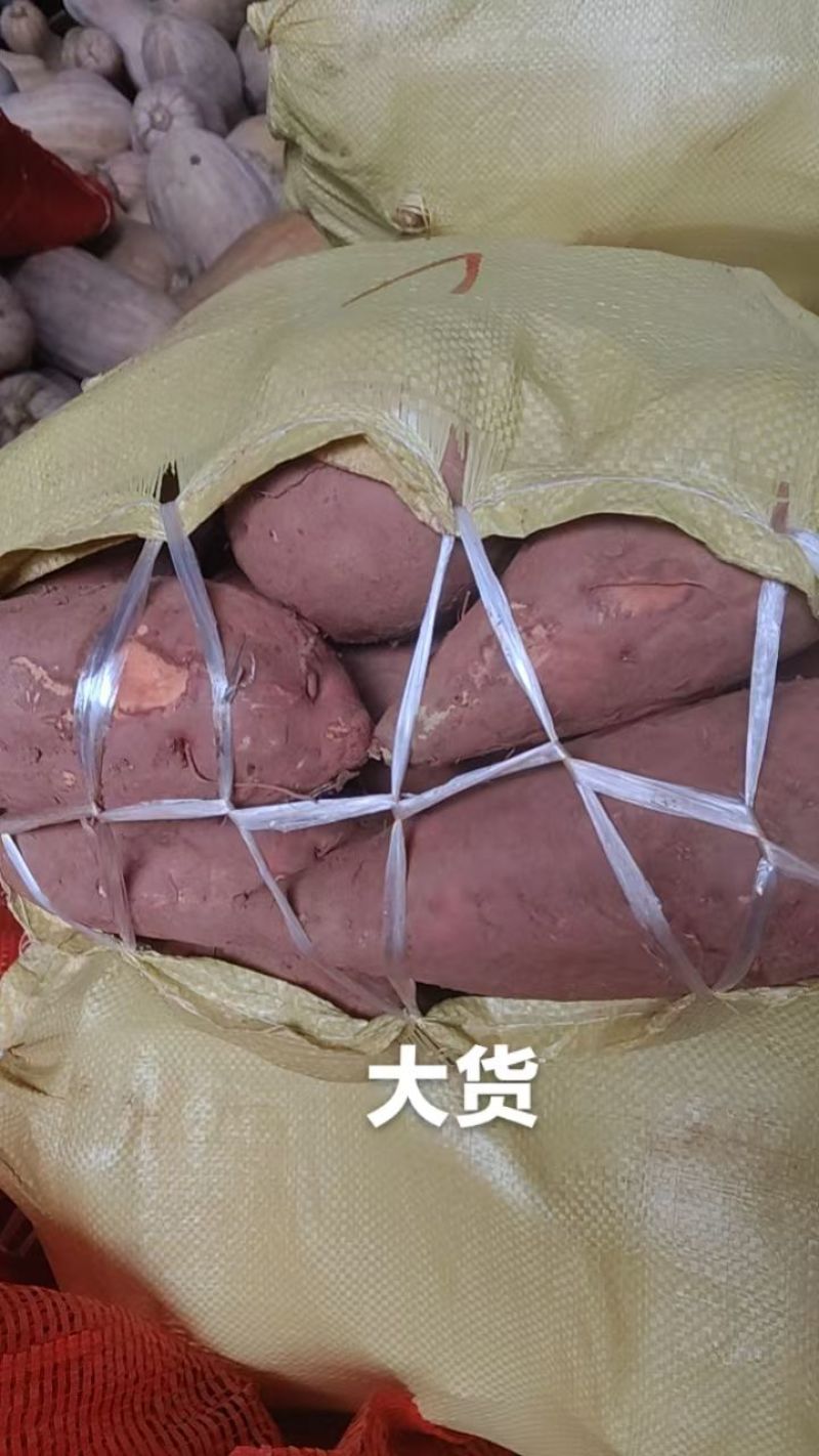 精品西瓜红红薯