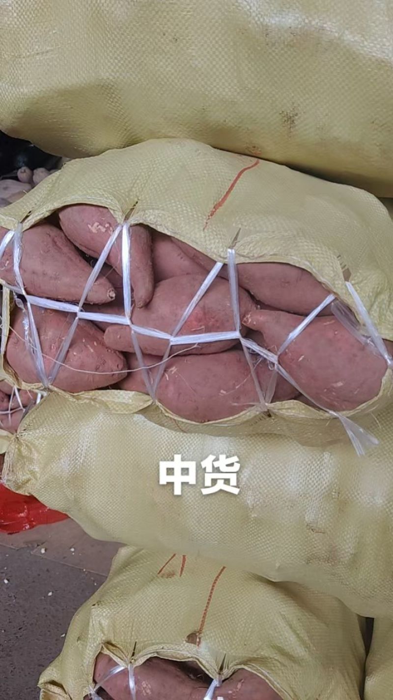 精品西瓜红红薯