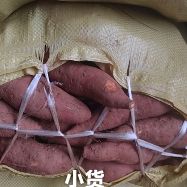 精品西瓜红红薯