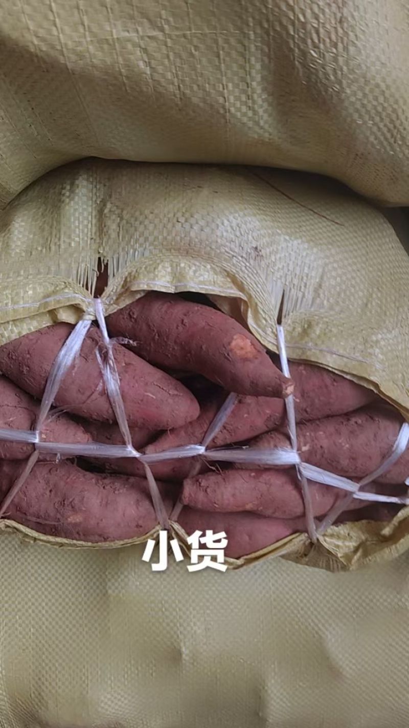 精品西瓜红红薯
