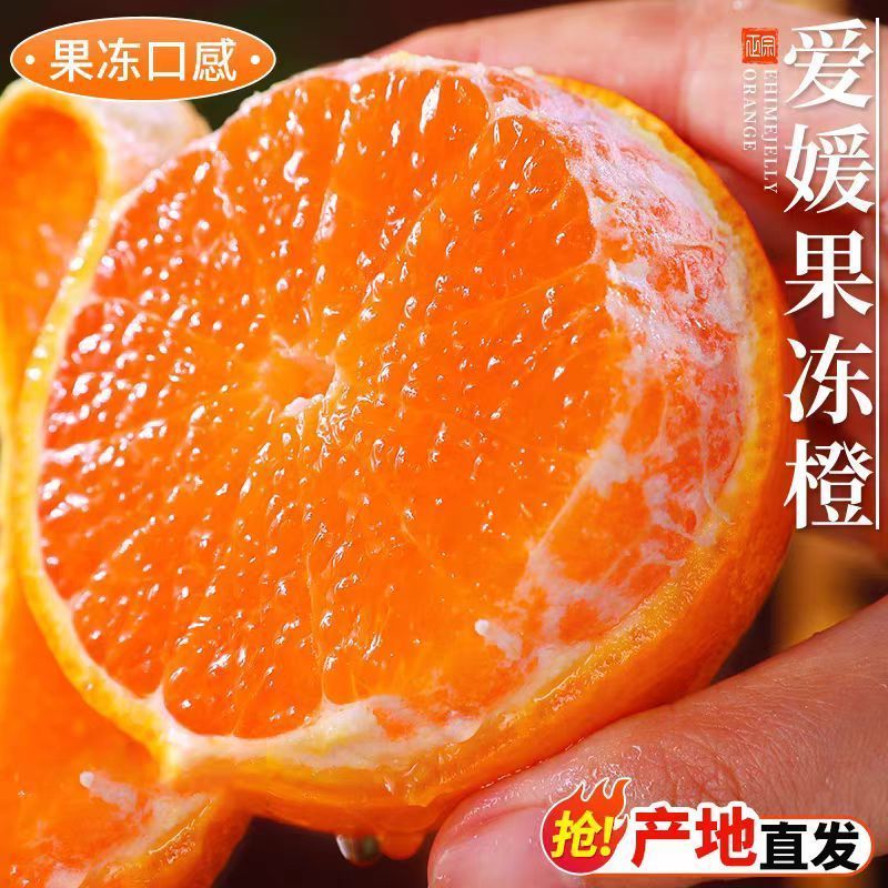 爱媛果冻橙产地直发大量供应爱媛量大高次果商品果次果按要求来