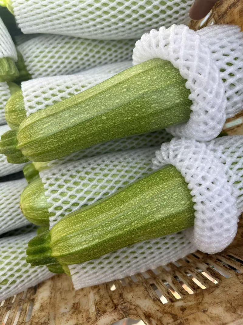 云南西葫芦小瓜新鲜采摘5斤带箱