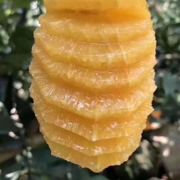 赣南脐橙10斤一箱
