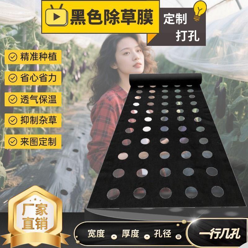 地膜打孔定制