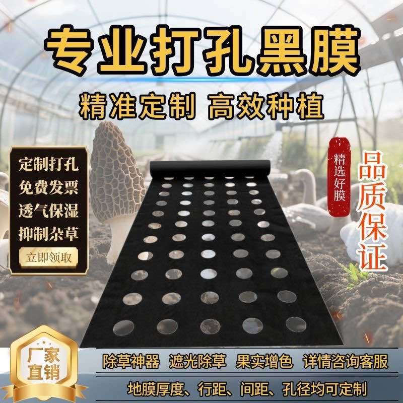 地膜打孔定制