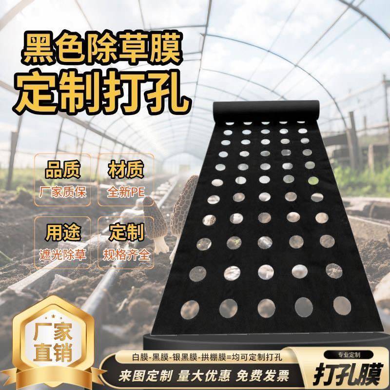 地膜打孔定制