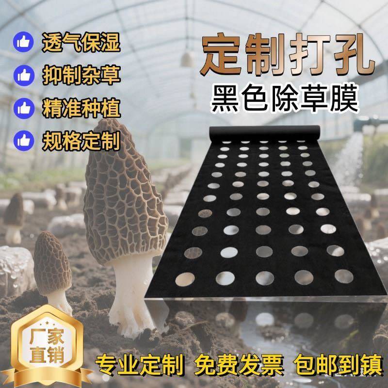 地膜打孔定制