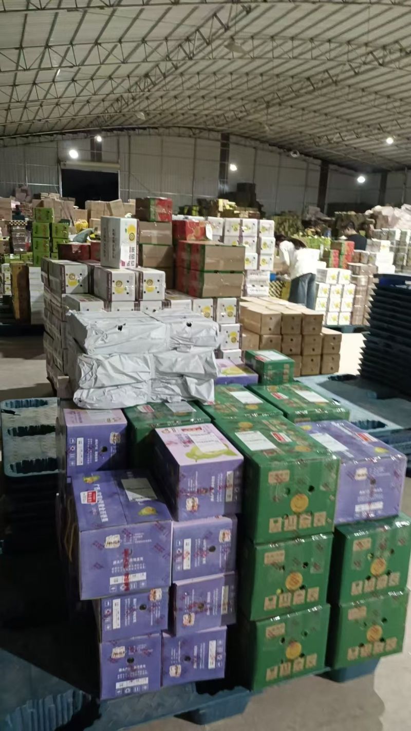 广西钦蜜9号百香果全规格市场果电商果高次果鲜果酱