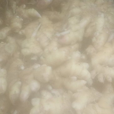 湖南邵阳绥宁县