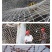 建筑工程安全网楼梯防护网天井网