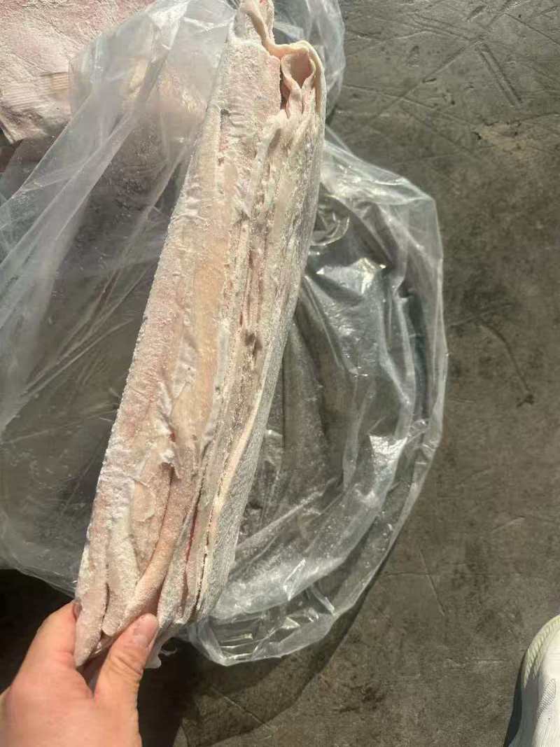 猪背皮