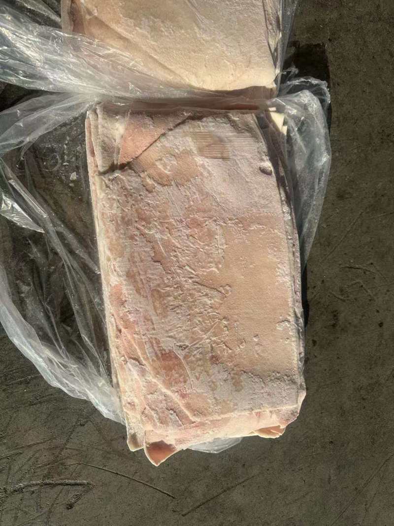 猪背皮