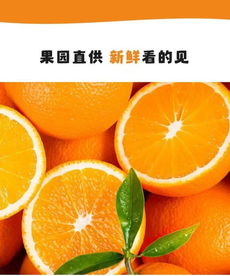 赣南脐橙