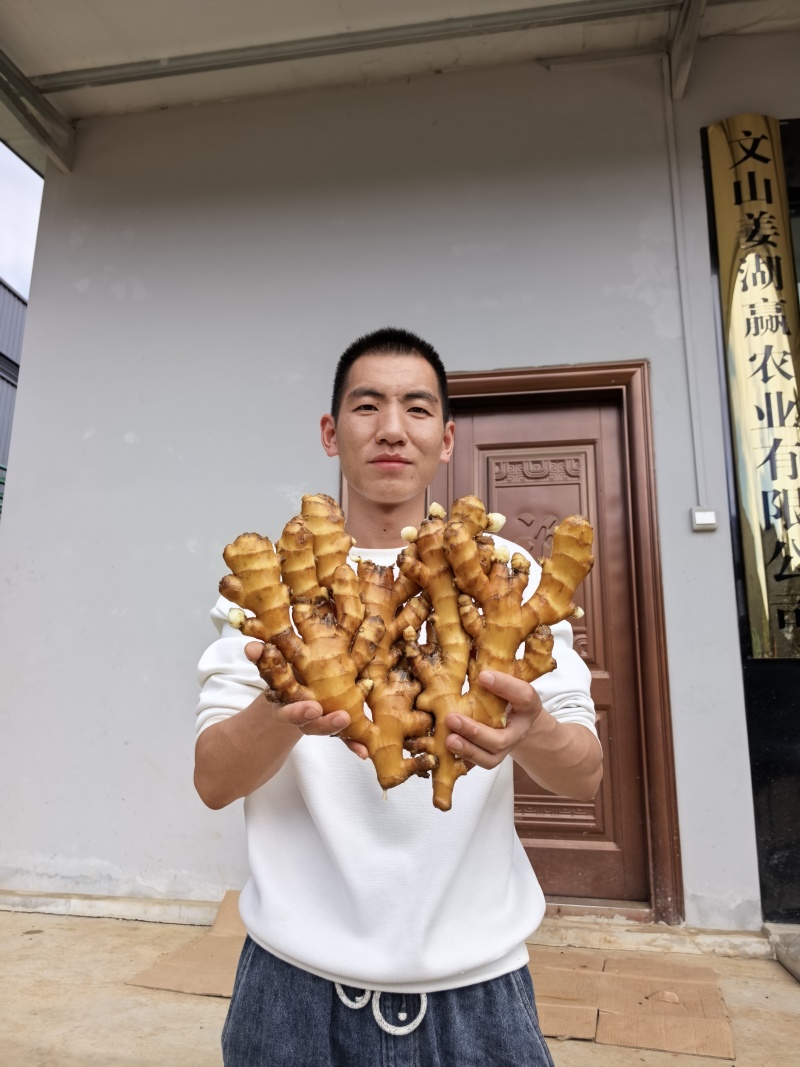 云南库存二黄姜小黄姜整车批发2.2—2.6/斤