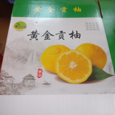 张家界特产红柚子，冰糖柚，冰糖橙，黄金贡柚