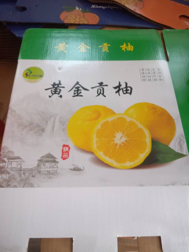 张家界特产红柚子，冰糖柚，冰糖橙，黄金贡柚