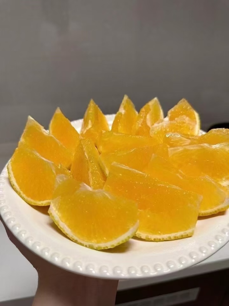 江西赣南脐橙