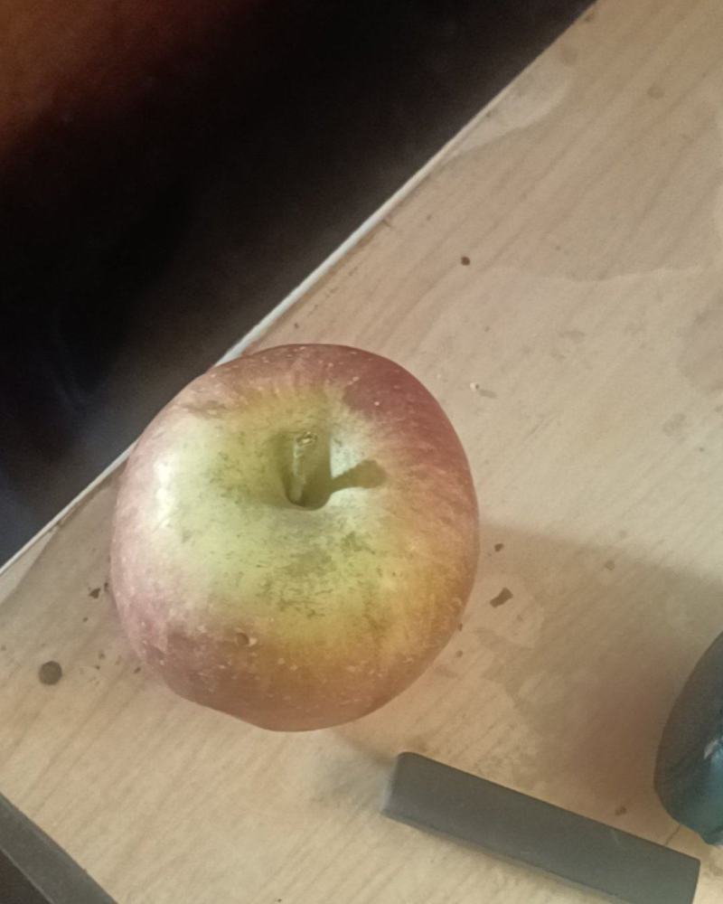 云南昭通糖心苹果