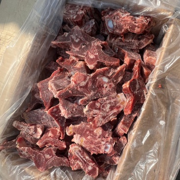 羊蝎子，新鲜纯干