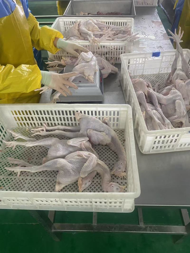 加国补加省补下货速度非常快