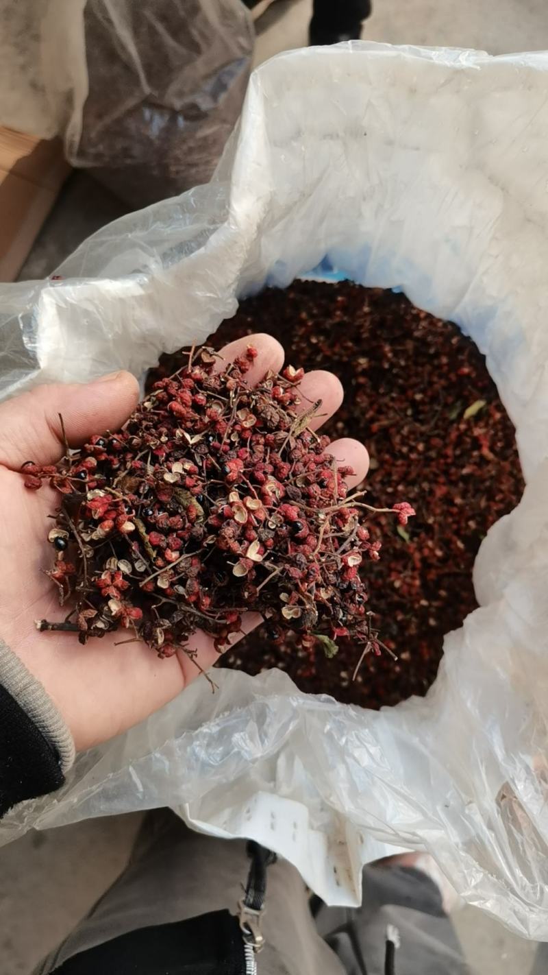 大红袍毛花椒