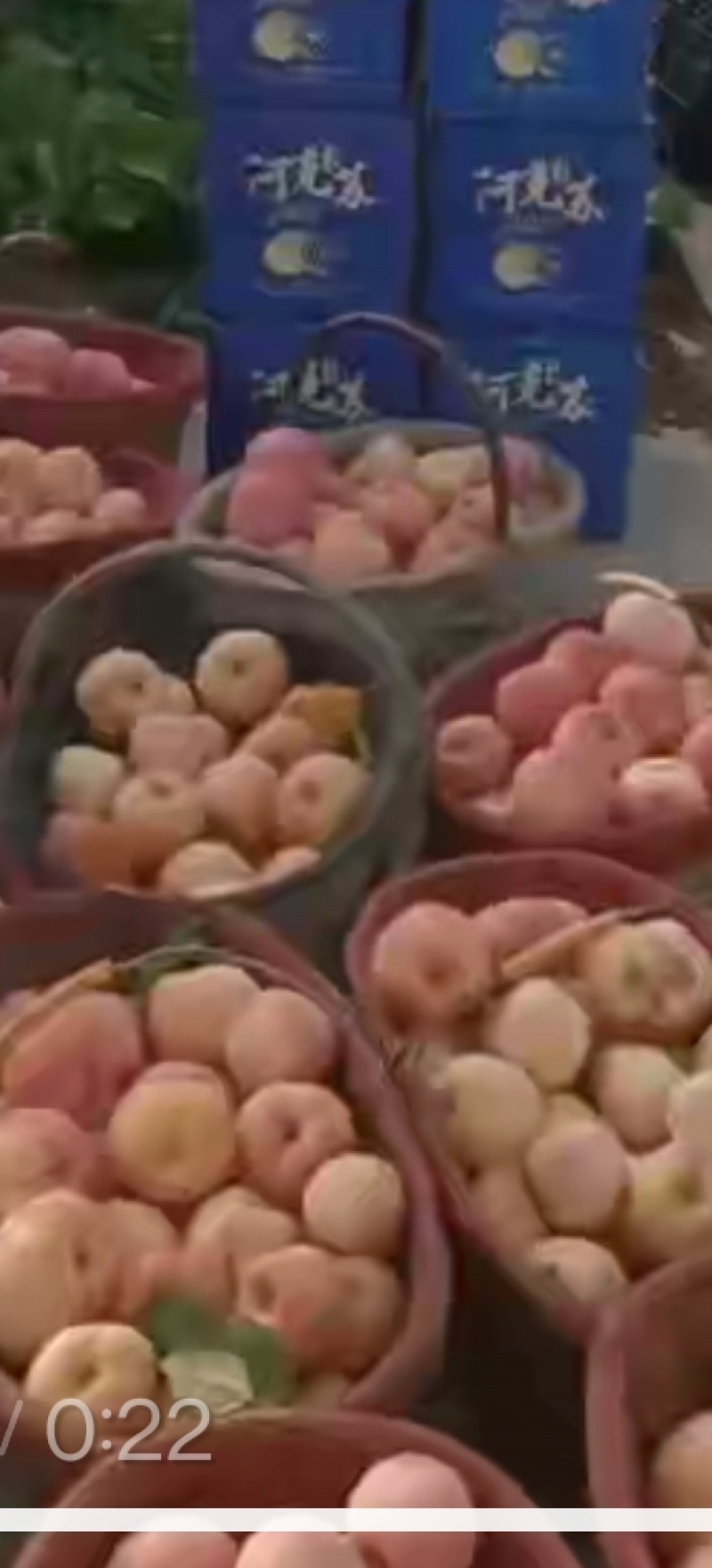 阿克苏冰糖心苹果