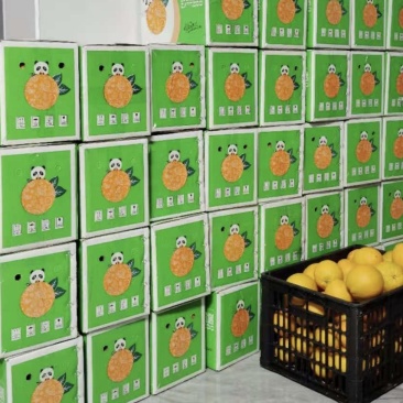 纽荷尔脐橙