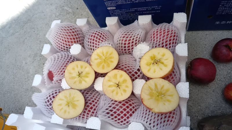 阿坝红富士糖心苹果