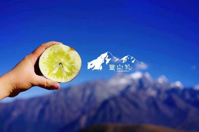 阿坝红富士糖心苹果