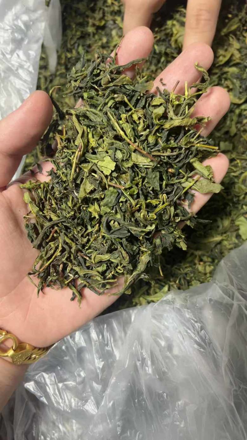 绿茶