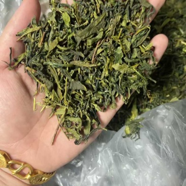 绿茶